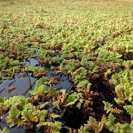 9 Person In Hurup Thy-by Traum * Sindrup